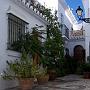 Plantes et trottoir en pierres à Frigiliana
